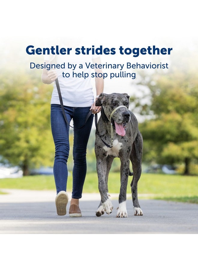 بيت سيف طوق رأس الكلب اللطيف من PetSafe، بدون سحب - الحل الأمثل للسحب - يُعيد توجيه سحب كلبك لتسهيل المشي - يساعدك على استعادة السيطرة - متوسط، أزرق ملكي - Image 1