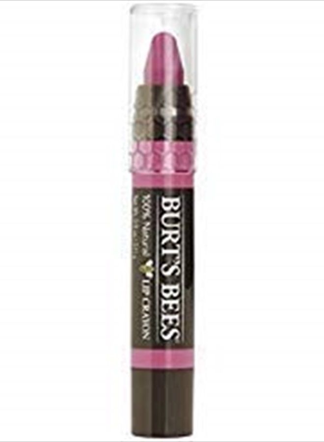 Burt's Bees Burts Lip Crayon Ha Smold Size .11z Burts Lip Crayon Hawaiian Smolder #429 .11z - Image 4