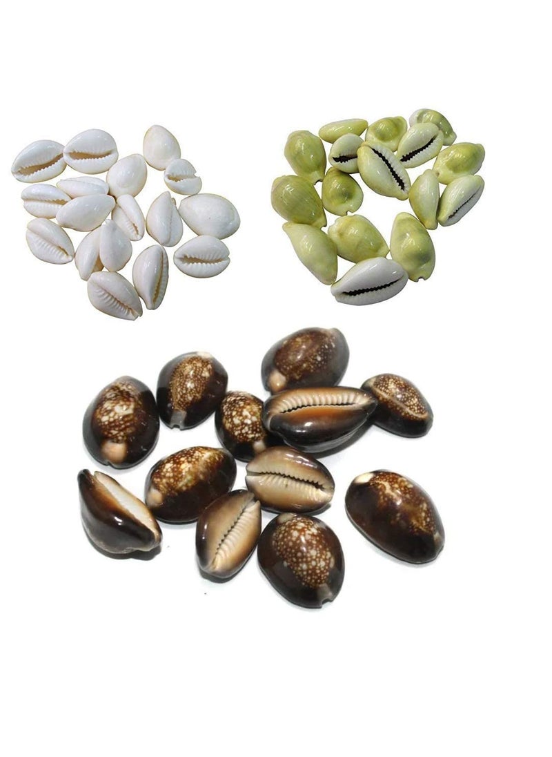 PMW Pmw Yellow White and Black Cowrie Combo Each 11 Pieces Total 33 