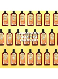 Agadir Agadir Argan Oil Daily Moisturizing Conditioner 12.4 Fl.OZ (Pack of 1)  - Image 4