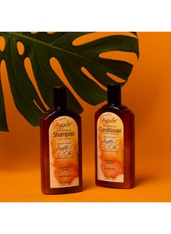 Agadir Agadir Argan Oil Daily Moisturizing Conditioner 12.4 Fl.OZ (Pack of 1)  - Image 2