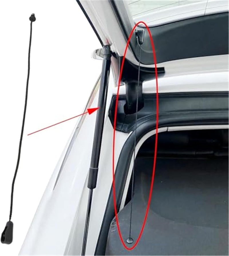 Yurefax Parcel Shelf String Cord for Focus Mk2 - Image 2