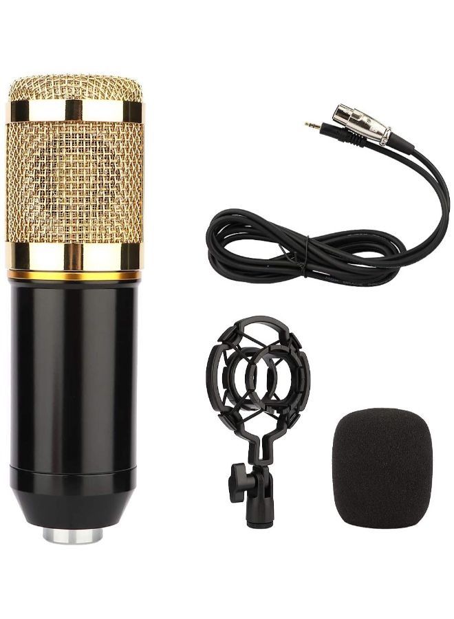 EasyLife Condenser Professional Recording Microphone Mic Kit  - Image 1