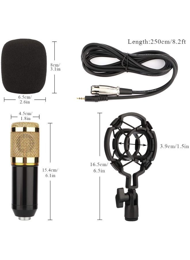 EasyLife Condenser Professional Recording Microphone Mic Kit  - Image 2