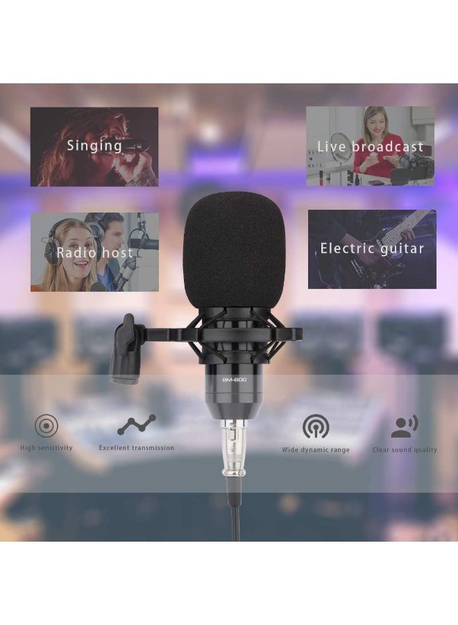 EasyLife Condenser Professional Recording Microphone Mic Kit  - Image 4