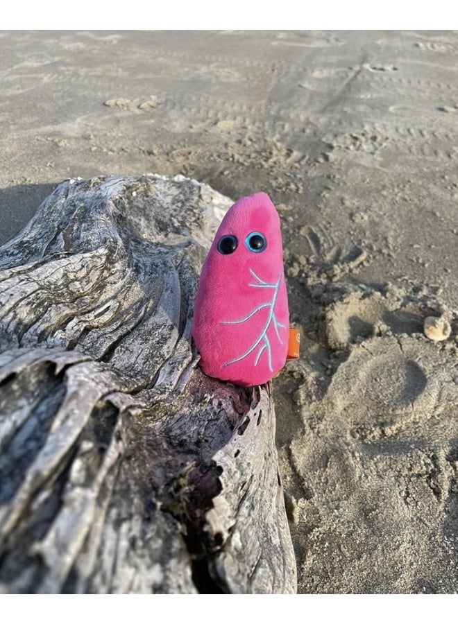 Giant Microbes GIANTmicrobes Lung Plush Respiratory Therapist Gifts Pulmonologist Gifts Respiratory Therapy Gifts Lung Transplant Survivor Gifts Lung Cancer Survivor Gifts Lung Pillow Lung Stuffed Animal - Image 5