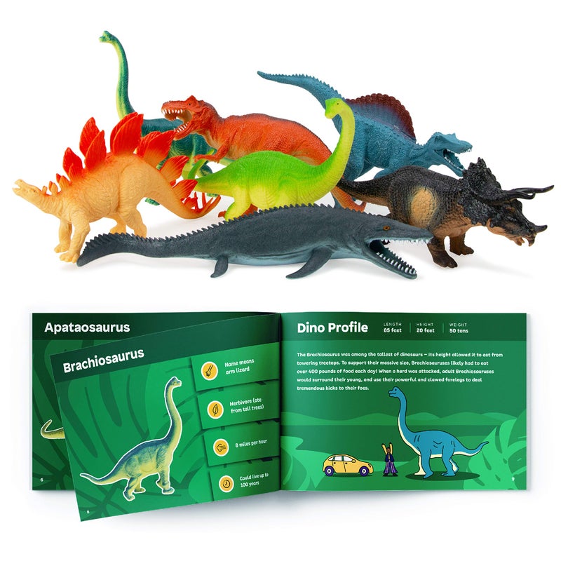 Boley 14-Pack Dinosaur Toys for Kids with Educational Booklet - 9" Realistic Dino Figures for Boys & Girls Ages 3+ - Includes T-Rex, Raptor, Stegosaurus, Triceratops, and More - Image 2