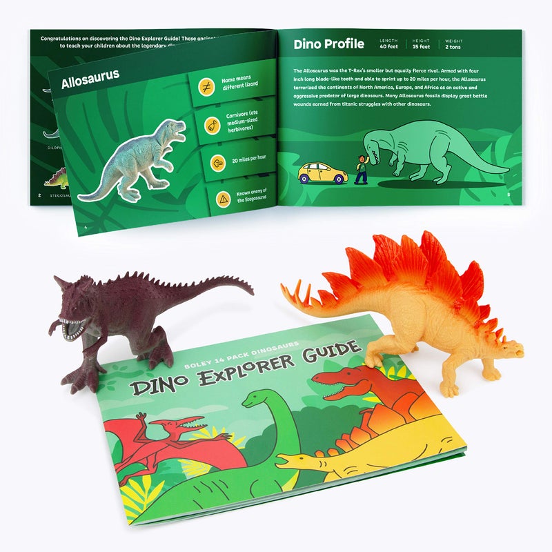 Boley 14-Pack Dinosaur Toys for Kids with Educational Booklet - 9" Realistic Dino Figures for Boys & Girls Ages 3+ - Includes T-Rex, Raptor, Stegosaurus, Triceratops, and More - Image 3