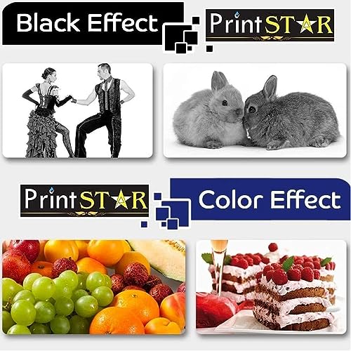 Print Star 3025 Black Toner Cartridge Compatible Replacement for Xerox Phaser 3020 and WorkCentre 3025 Laser Printers High Yield Printing Reliable Performance Sharp Text Clear Prints - Image 5