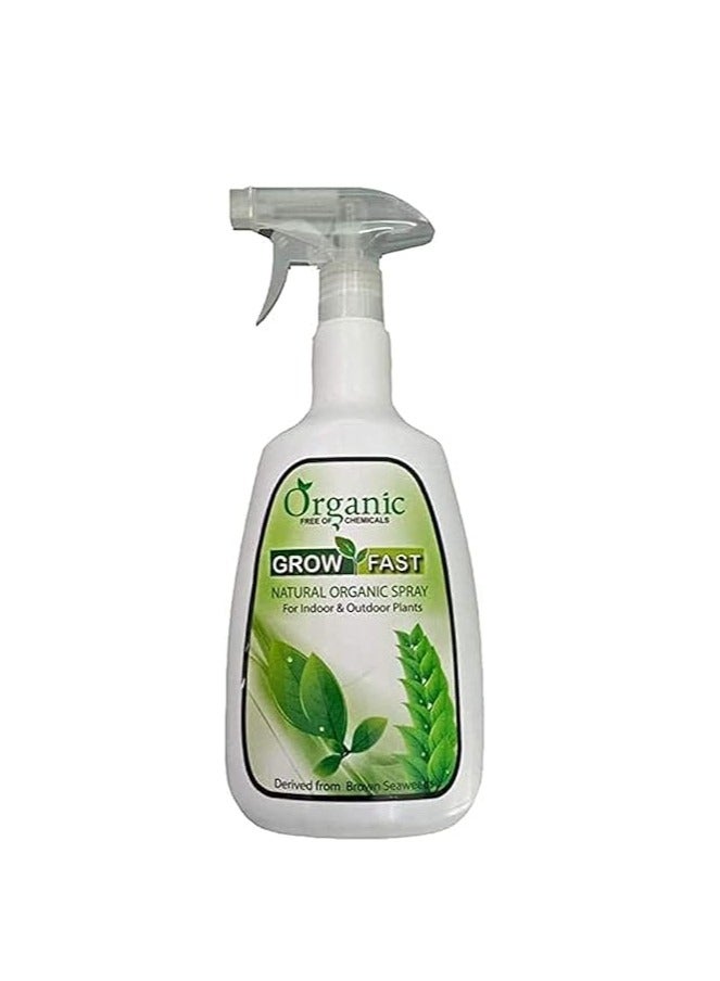 GROW FAST Grow Fast Organic Spray For Indoor/Outdoor Plants 860ml - Image 2
