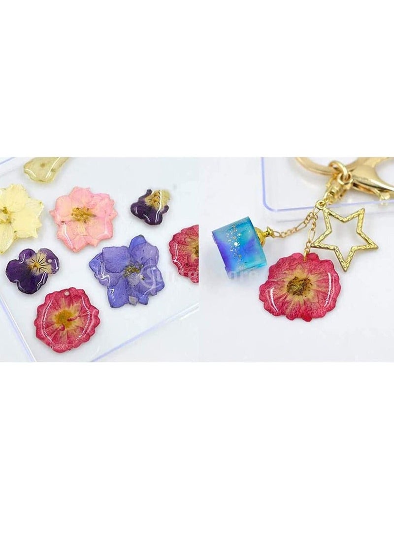 Dried Flowers Pressed Natural Colorful Pressed Flowers Daisies Assorted Dried Flowers Leaves Petals Floral Decors DIY Crafts, for Resin epoxy Silicone Mold Production - Image 5