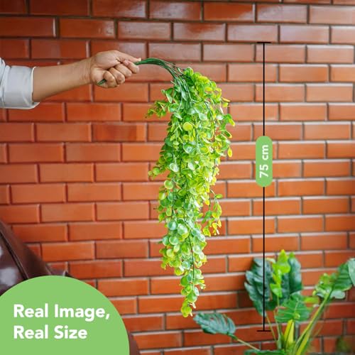 Ekhasa Nostrae Eucalyptus Leaves Hanging Artificial Plants (Set of 2) | Ivy Gardens Artificial Hanging Plants for Decor | Falling Creepers Climbers Green Fake Vines for Pots (Eucalyptus Strings) - Image 4