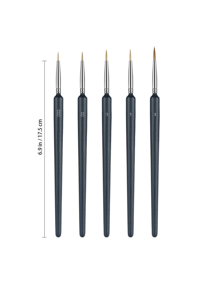 anezus Anezus 6 Pcs Painting Brushes Set for Fine Detailing，Professional Fine Tip Paint Brush Set，Thin Paint Brush and Miniature Brush Set for Detailing Painting,Detailing Acrylic Oil Watercolor Gouache (6)  - Image 4