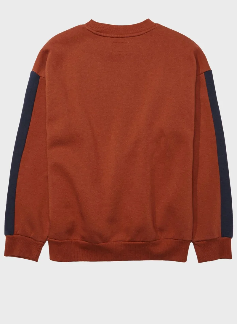 American Eagle Logo Sweatshirt