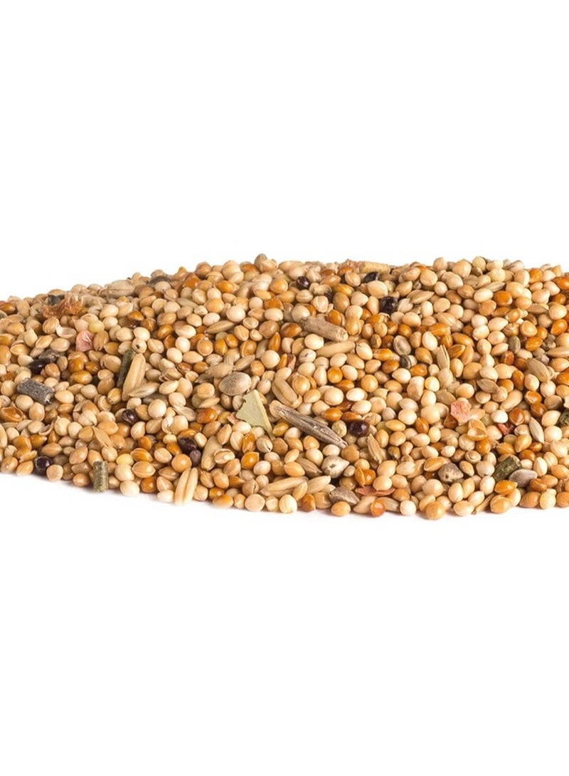 Vitakraft Budgies Birds Food With Vita Herbs - 1KG - Image 2