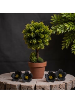 Tradeo Nearly Natural Artificial Bonsai Tree 30Cm Artificial Tree in Plastic Pot with Moss Grass Arrangement For Home Indoor Outdoor Decoration – Garden Plants – Office Plants Plastic Plants  - Image 4