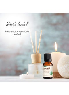 Vasu Vasu Aromatics Tea Tree Essential Oil – 100% Natural | For Healthy Hair & Skin | Helps to reduce Acne, Pimples & Dandruff - 10ml  - Image 5