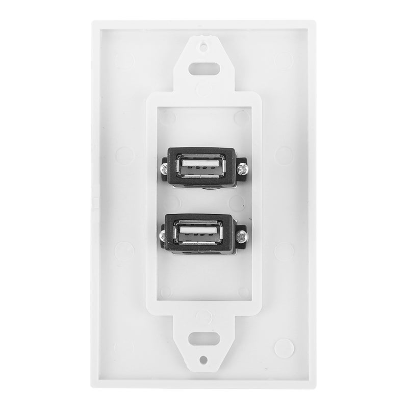 لوحة جدار منفذ USB2.0 مزدوج للديكور في المنزل والمكتب والبناية والفندق - Image 1