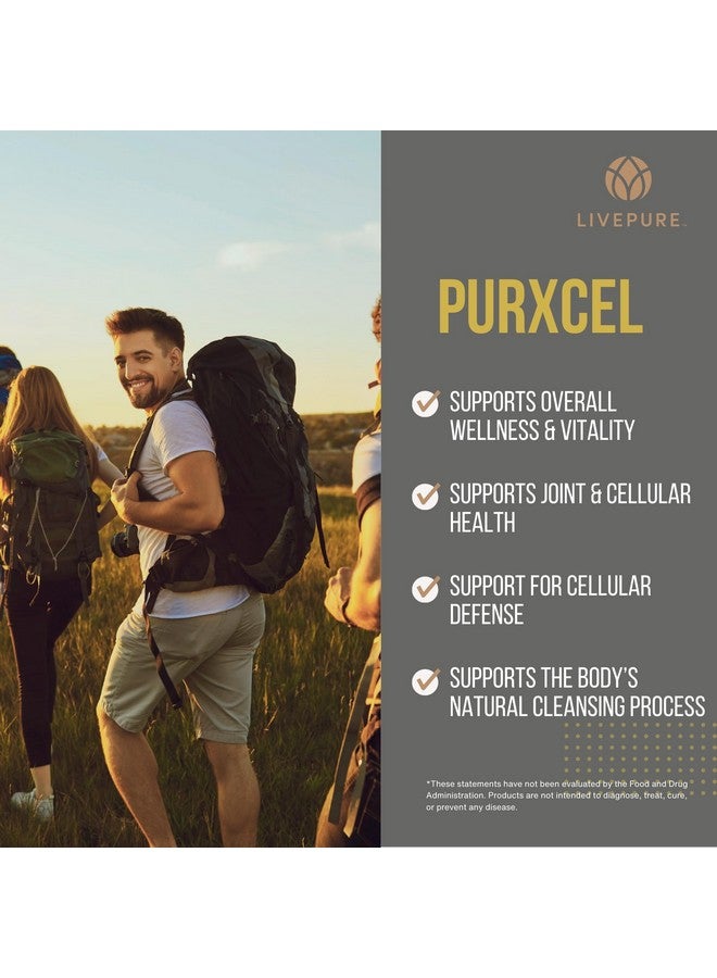 PURE PurXcel Antioxidant Supplement | 30 Capsules | Potent Antioxidant Blend with Glutathione & Superoxide Dismutase | Supports Skin, Joints & Natural Cleansing - Image 3