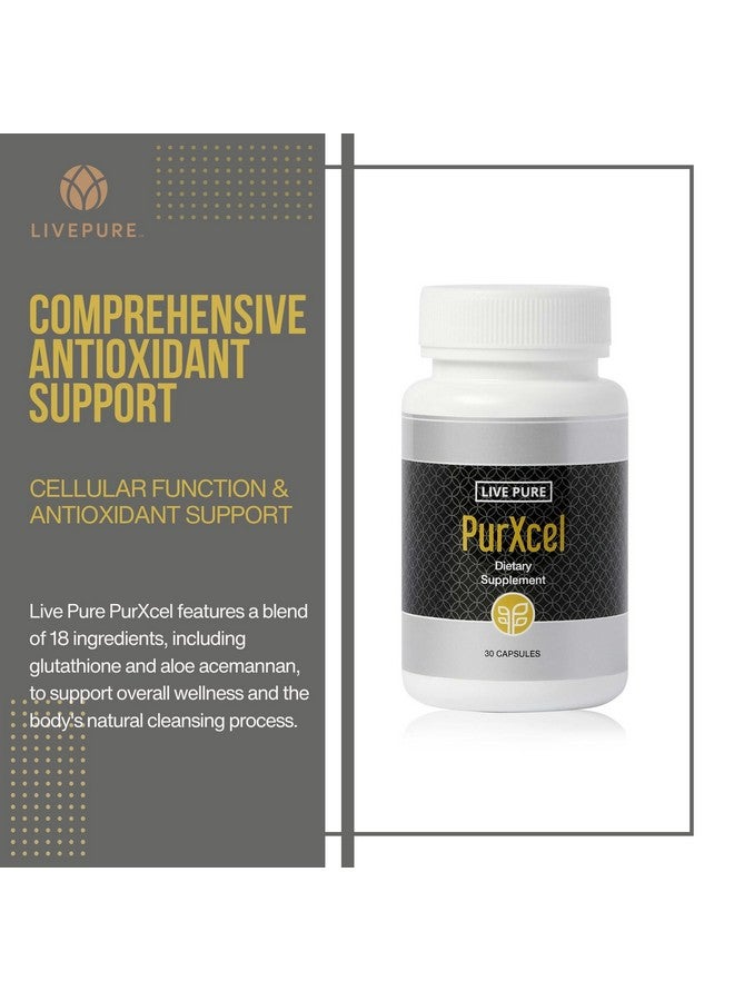 PURE PurXcel Antioxidant Supplement | 30 Capsules | Potent Antioxidant Blend with Glutathione & Superoxide Dismutase | Supports Skin, Joints & Natural Cleansing - Image 2