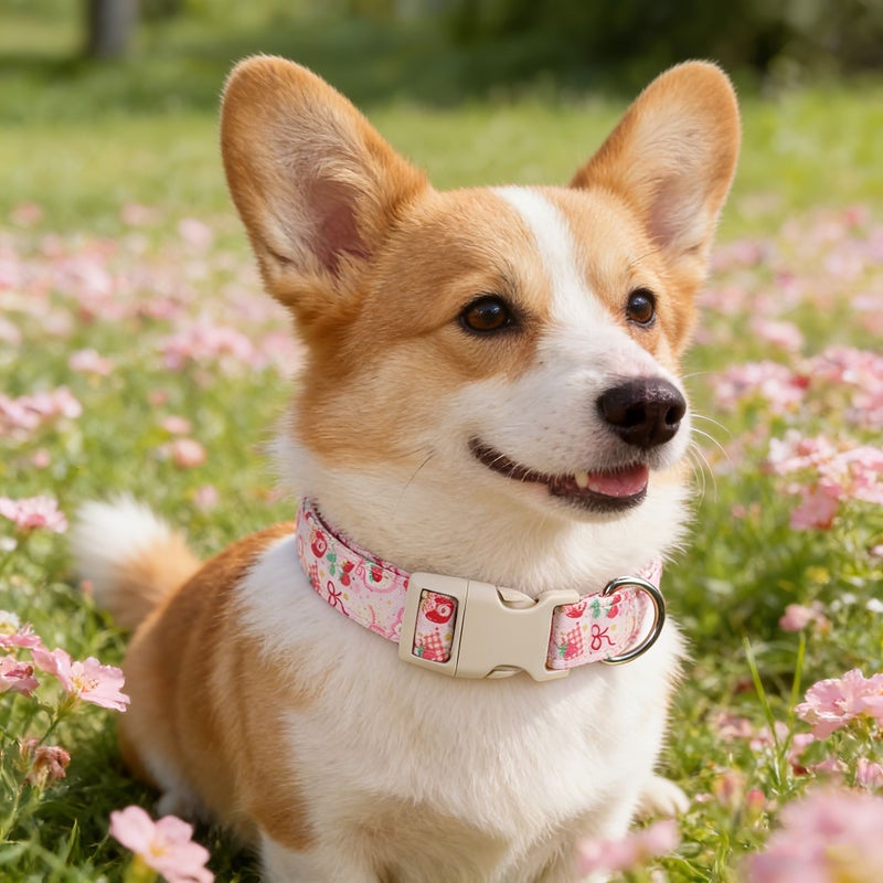 Pink Strawberry Bow Pet Collar for Cats and Dogs with Leash Adjustable L Size - Image 1