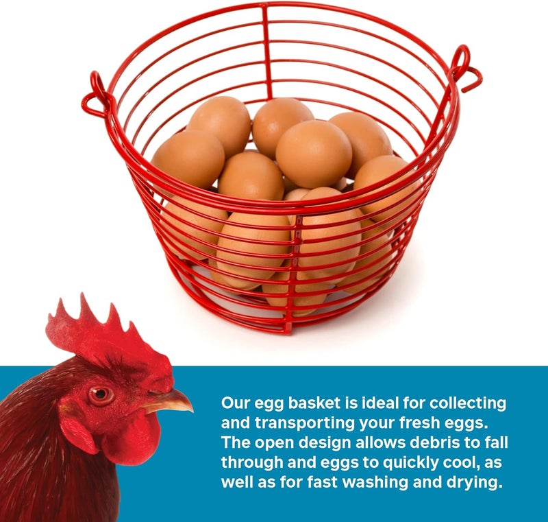 PH Prevue Hendryx Prevue Pet Products 8 Inch Red Vinyl Coated Metal Egg Basket, Holds 24-36 Eggs - SP468 - Image 5