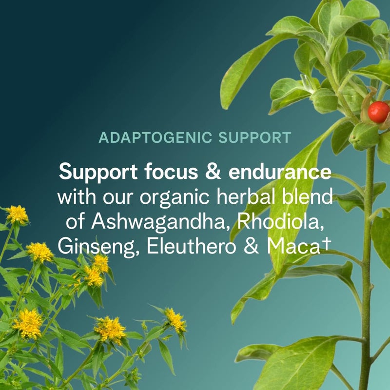 Ora Organic مسحوق أورا العضوي قبل التمرين للرجال والنساء بنكهة التوت والبنجر معتمد كمنتج نباتي عضوي خالي من الصويا خالي من الألبان خالي من الغلوتين يوفر طاقة بدون اهتزاز للنساء والرجال 20 حصة - Image 5
