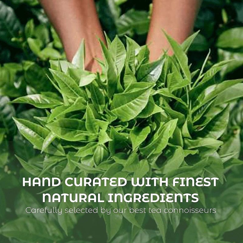 TEACURRY Turmeric Cinnamon Latte Mix - (60 Sachets) of Golden Milk Powder - Turmeric Cinnamon latte care for weight management - Turmeric Golden Milk - Image 4