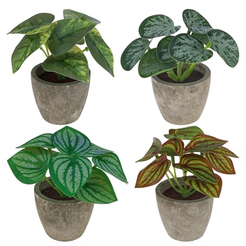 Woration 4Pcs Artificial Plants Potted Small Fake Tropical Faux Greenery Leaves Indoor for Office Desk Shelf Bathroom Home Decorations - Image 1