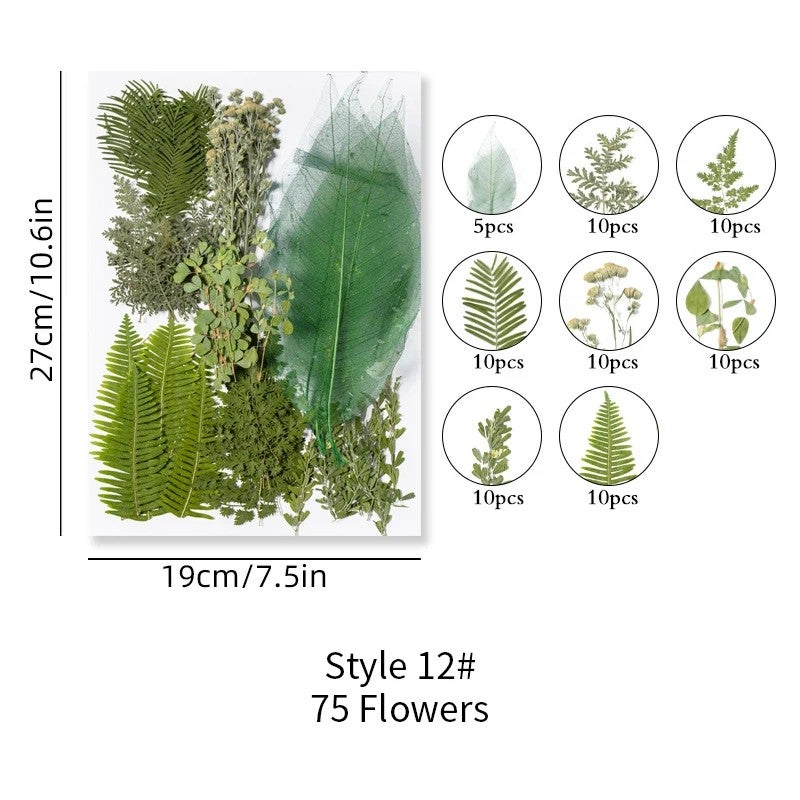 Bluejw ZS031 Real Pressed Dried Flowers – Natural Dried Plants for Candle Making, Resin Jewelry, Nail Art, Kitchen Decor, Pendant & DIY Craft Kits - Image 1
