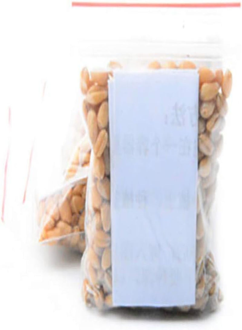 GGOOT seeds 400Pcs/Bag Cats Grass Seed Eating Kittens Garden Plant Antioxidant Pets Health Food - Image 3