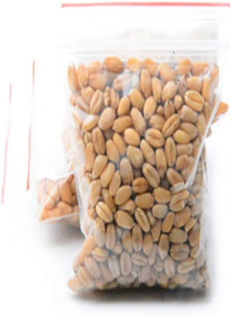 GGOOT seeds 400Pcs/Bag Cats Grass Seed Eating Kittens Garden Plant Antioxidant Pets Health Food - Image 5