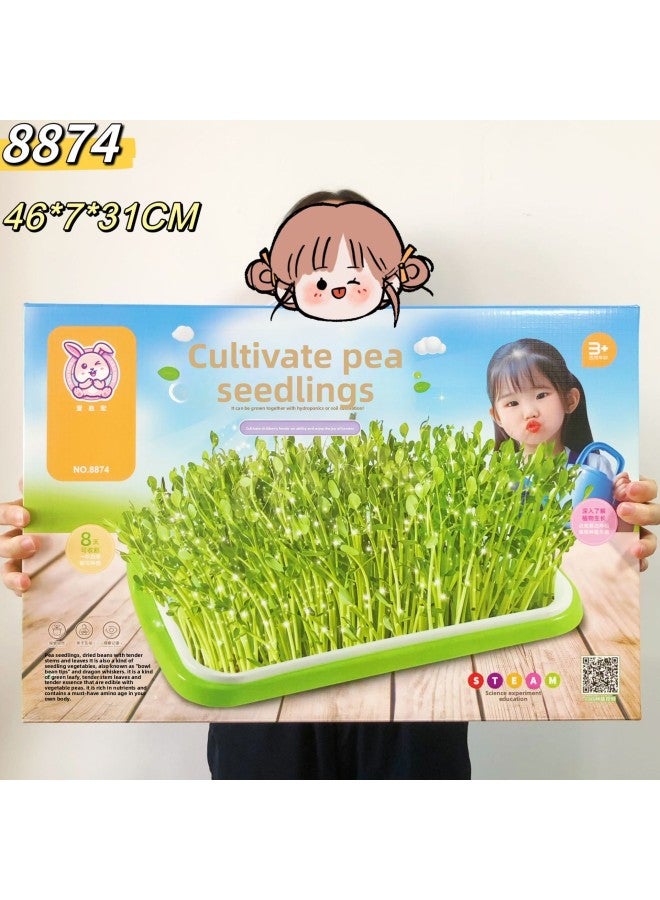 Factory Supply Wholesale Internet Celebrity Night Market Park Children's Large Pieces 29 Yuan Model Popular Stall Toy Gift Box Stall