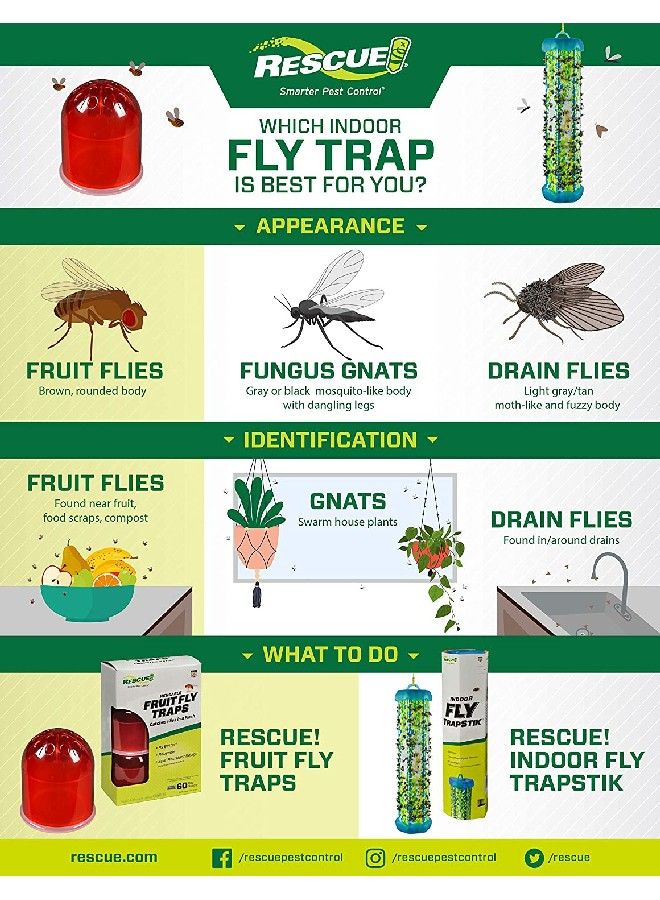 Rescue Fruit Fly Trap Refill - Image 3