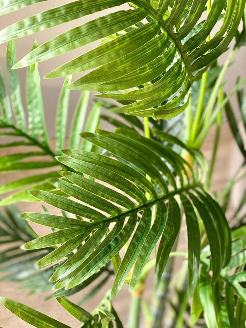 Home Bloom Decoration Artificial Areca Palm Plants for Indoor & Outdoor with Pot for Interior Decor/Home Decor/Office Dcor (Multicolor) (Green) - Image 3