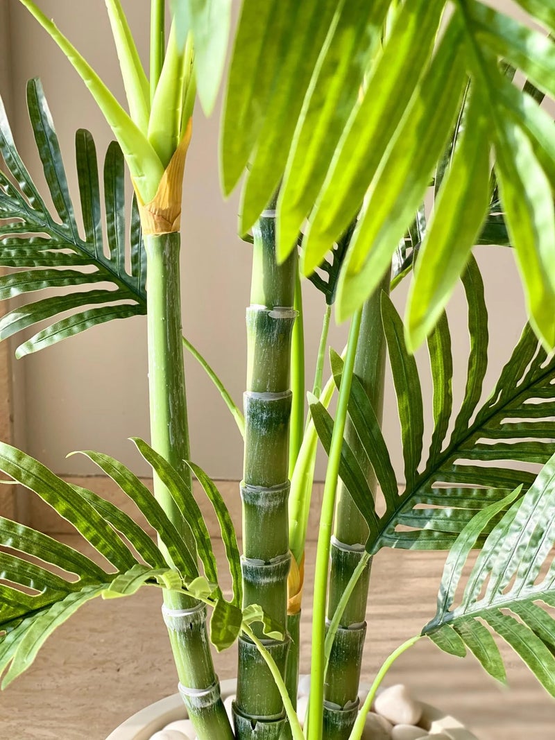 Home Bloom Decoration Artificial Areca Palm Plants for Indoor & Outdoor with Pot for Interior Decor/Home Decor/Office Dcor (Multicolor) (Green) - Image 5