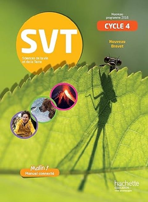 SVT cycle 4