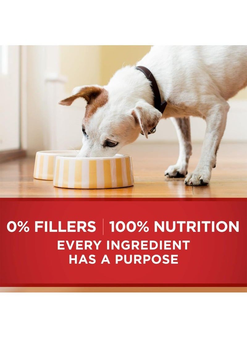 Purina ONE Classic Ground Chicken And Brown Rice Entree Wet Dog Food 368g  - Image 5