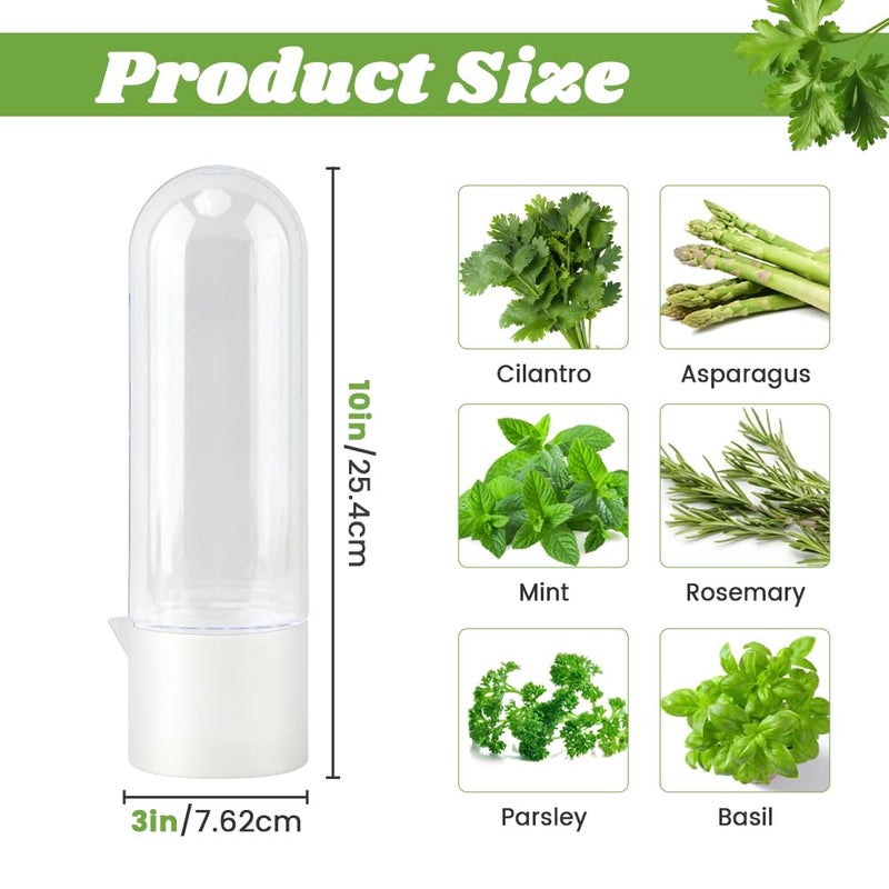 Giyochie Fresh Herb Saver Cilantro Storage Containers for Refrigerator, Transparent Herbs Saver fits Fridge Asparagus Parsley Mint Leaves, Keeps Greens Vegetables for 2-3 Weeks(SIZE:2 pcs) - Image 2
