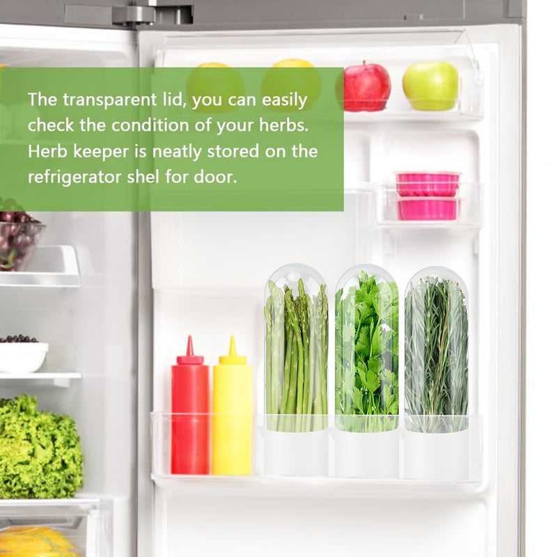 Giyochie Fresh Herb Saver Cilantro Storage Containers for Refrigerator, Transparent Herbs Saver fits Fridge Asparagus Parsley Mint Leaves, Keeps Greens Vegetables for 2-3 Weeks(SIZE:2 pcs) - Image 5