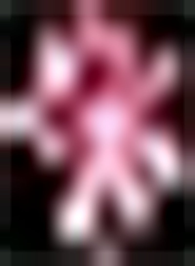 جي جوت 2 روزفاربين أماريليس زويبلن لها رائحة عطرية رائعة مليئة بالإثارة ستستمتع بها خلال عام كامل من الزهور المنعشة - Image 1