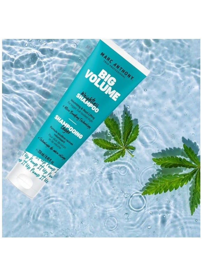 MARC ANTHONY BIG VOLUME weightness SHAMPOO 250ML - Image 4