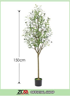 Green (Olive Tree)