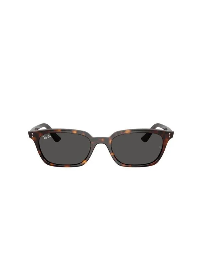 Ray-Ban 0Rb4456 Pillow Sunglasses