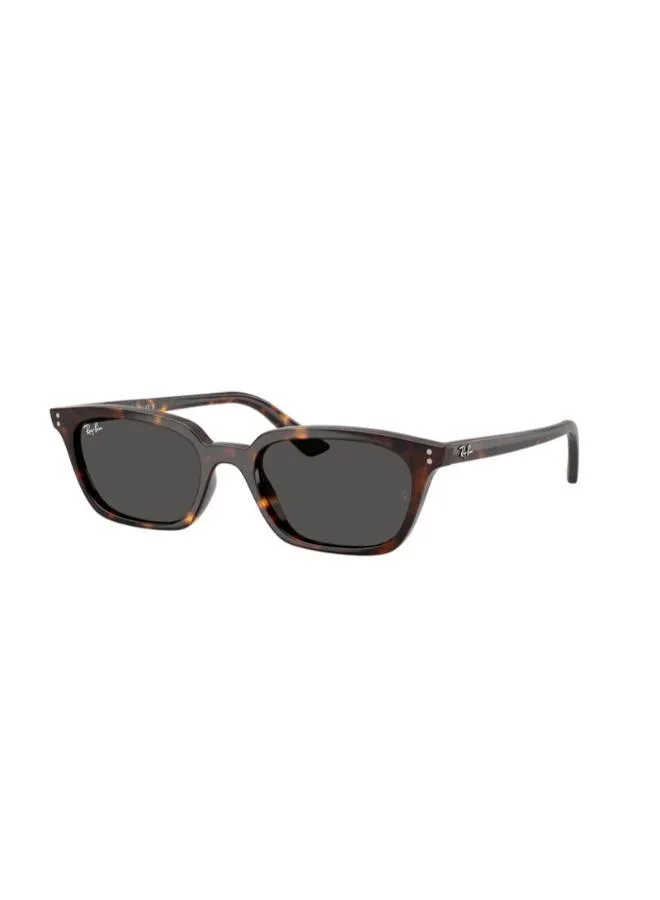 Ray-Ban 0Rb4456 Pillow Sunglasses