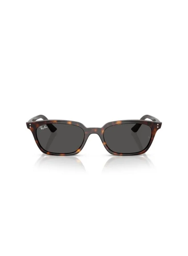 Ray-Ban 0Rb4456 Pillow Sunglasses