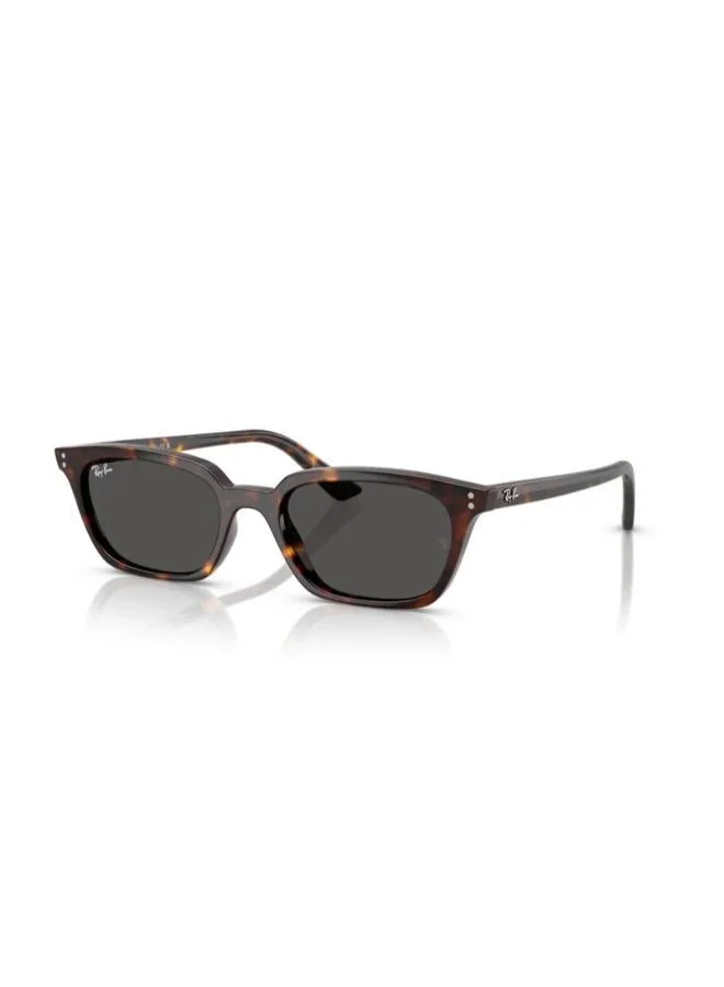 Ray-Ban 0Rb4456 Pillow Sunglasses