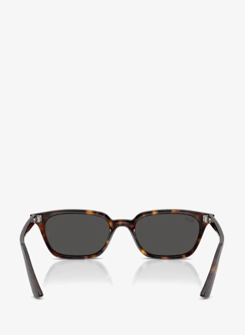 Ray-Ban 0Rb4456 Pillow Sunglasses