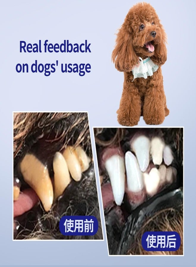 KOPBTBOY Dog Toothbrush, Dog Toothbrushs Kit with 2pc 360 Degree Tooth Brushing Head and Premium Non-Slip Handle, for Small to Medium Dogs, Soft-Bristled - Image 5