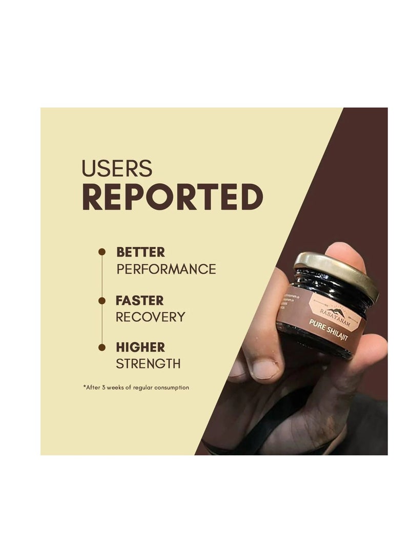Rasayanam Pure Shilajit Resin  20Gm - Image 2